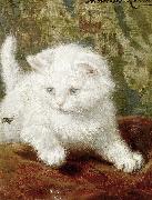 Signed Henriette Ronner Henriette Ronner